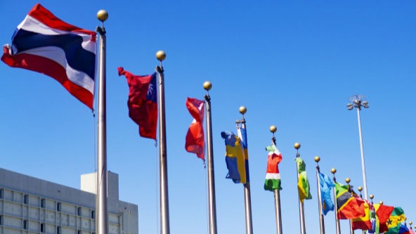 other-flags